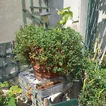 Duplex Terrasse Coeur De Paris Montorgueil