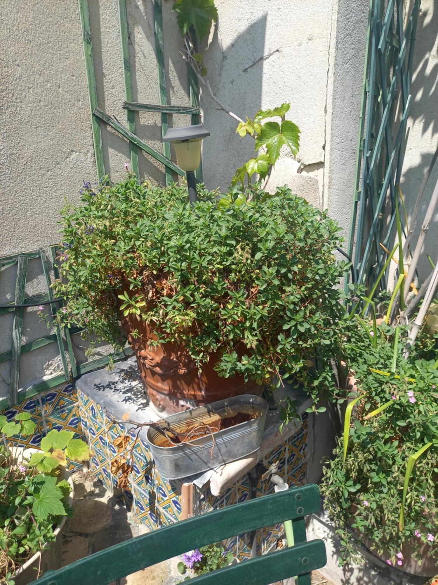 Duplex Terrasse Coeur De Montorgueil *